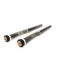 HONDA CRF300 L/R 21- Set